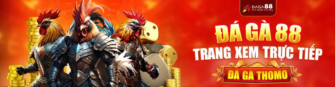 Đá Gà Trực Tuyến Hấp Dẫn tại hz88 login