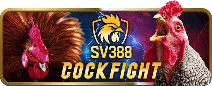 Slot game và nổ hũ tại hz88 login